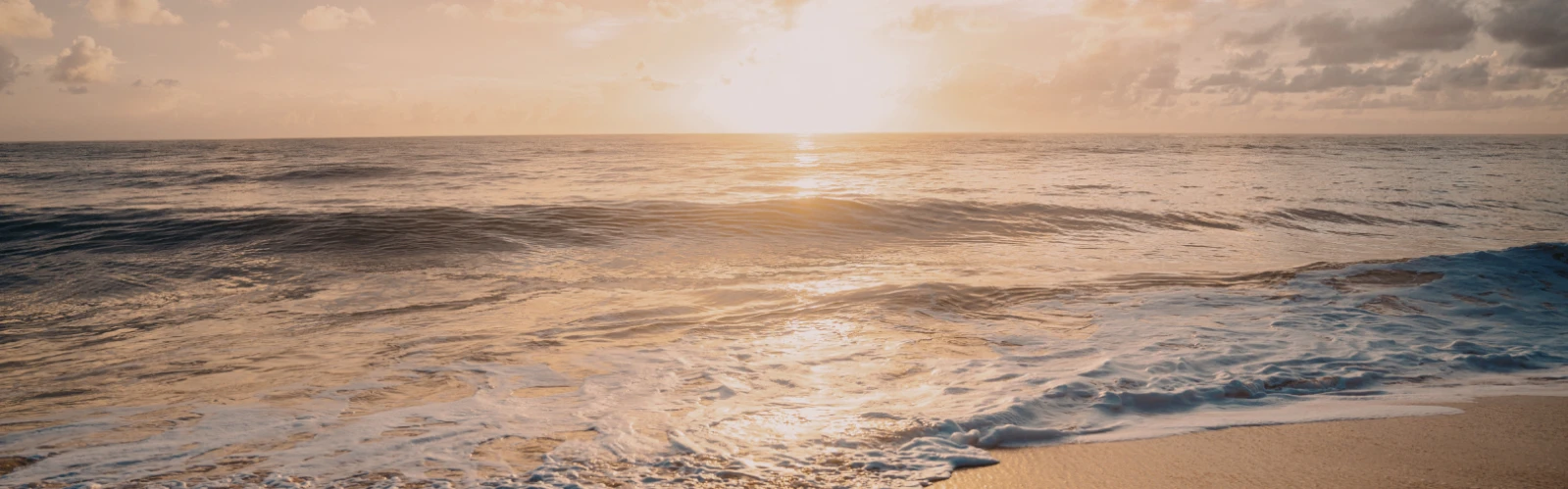 Why Visit Oceanside, California: Best Attractions, Food Spots, Outdoor Fun & Events
