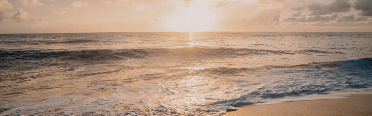Why Visit Oceanside, California: Best Attractions, Food Spots, Outdoor Fun & Events