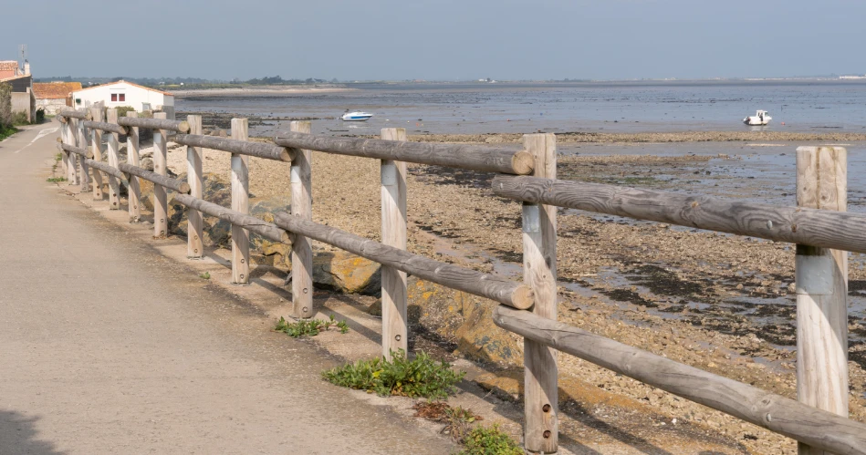 Why Visit Oceanside, California: Best Attractions, Food Spots, Outdoor Fun & Events